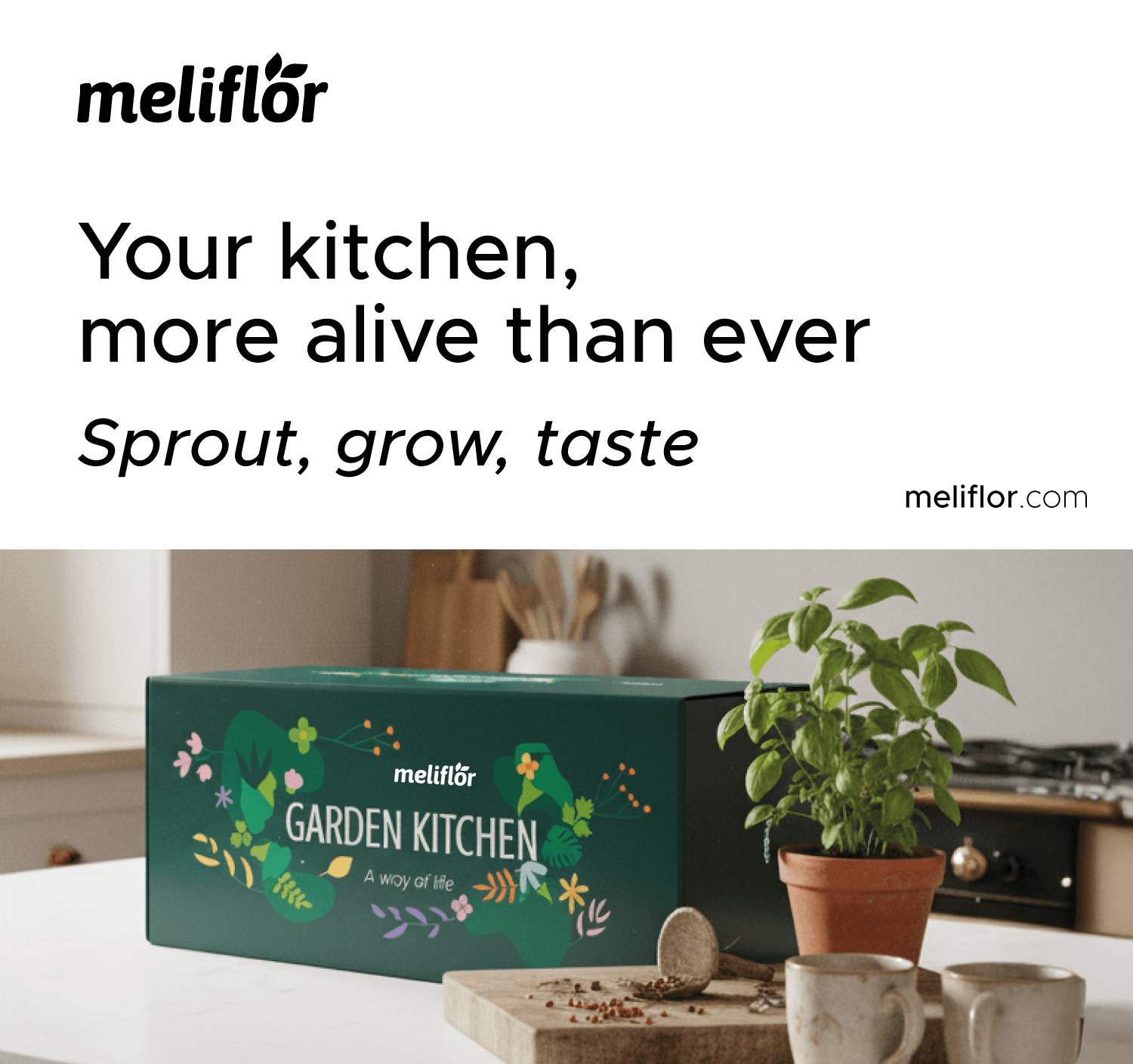 Reduzieren Sie Ihren Wasserverbrauch um bis zu 70 % mit den Bewässerungstöpfen von Meliflor.
