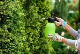 Pflegen, was bereits blüht: So bereiten Sie Ihren Garten auf die heißesten Monate vor